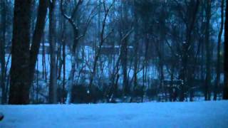 Listen to the Silence~ Spoken Word by Denise Baxter Yoder