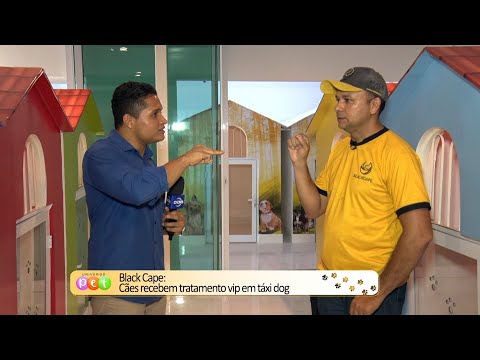 Black Cape: Cães recebem tratamento vip em táxi dog 19 09 2022