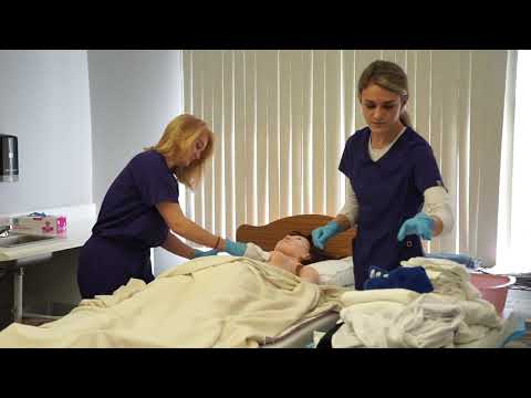 Full Bed Bath & Beyond