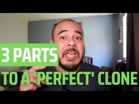 How I Make "Perfect" Clones