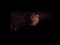 The Lion King 2019 Scar Death Scene Clip