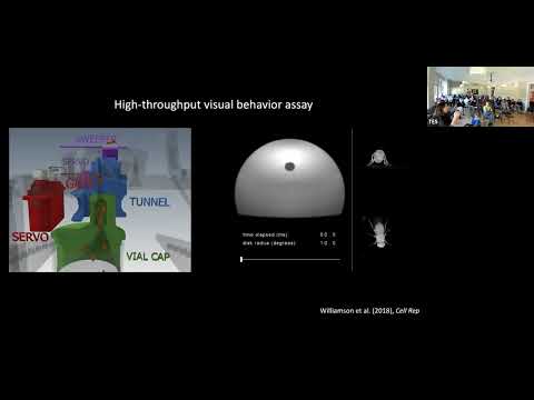 Gwenyth Card - Janelia Farms -  Reverse Engineering the Fly - Telluride 2022