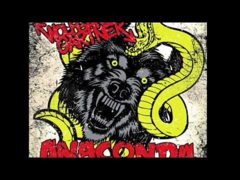 Martin Solveig vs. Wolfgang Gartner - Anaconda the Night Out (b*nja mashup)