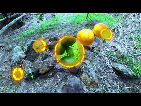 lotes en venta viota Cundinamarca