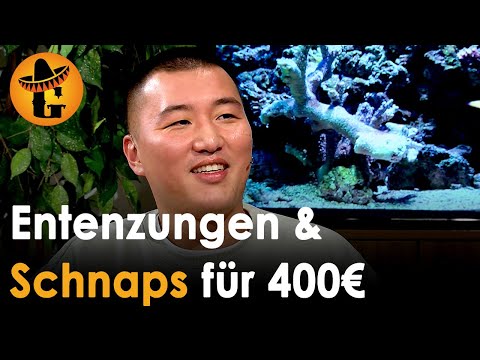 Instagram-Koch Jing Chen: Chinesische Delikatessen für Stermann & Grissemann | Willkommen Österreich