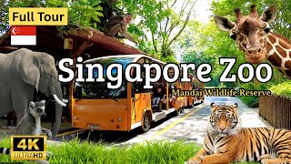 Singapore Zoo Tour! Shows, Attractions & More! One of the BEST ZOOS in ASIA 4K 🇸🇬 