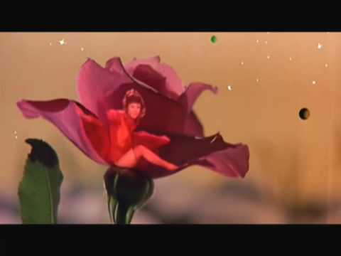 Heartsrevolution - The Rose and Her Prince