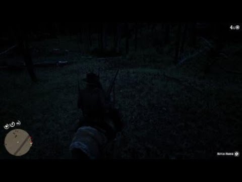 Red Dead Redemption 2 Killing a wolf 6-pack