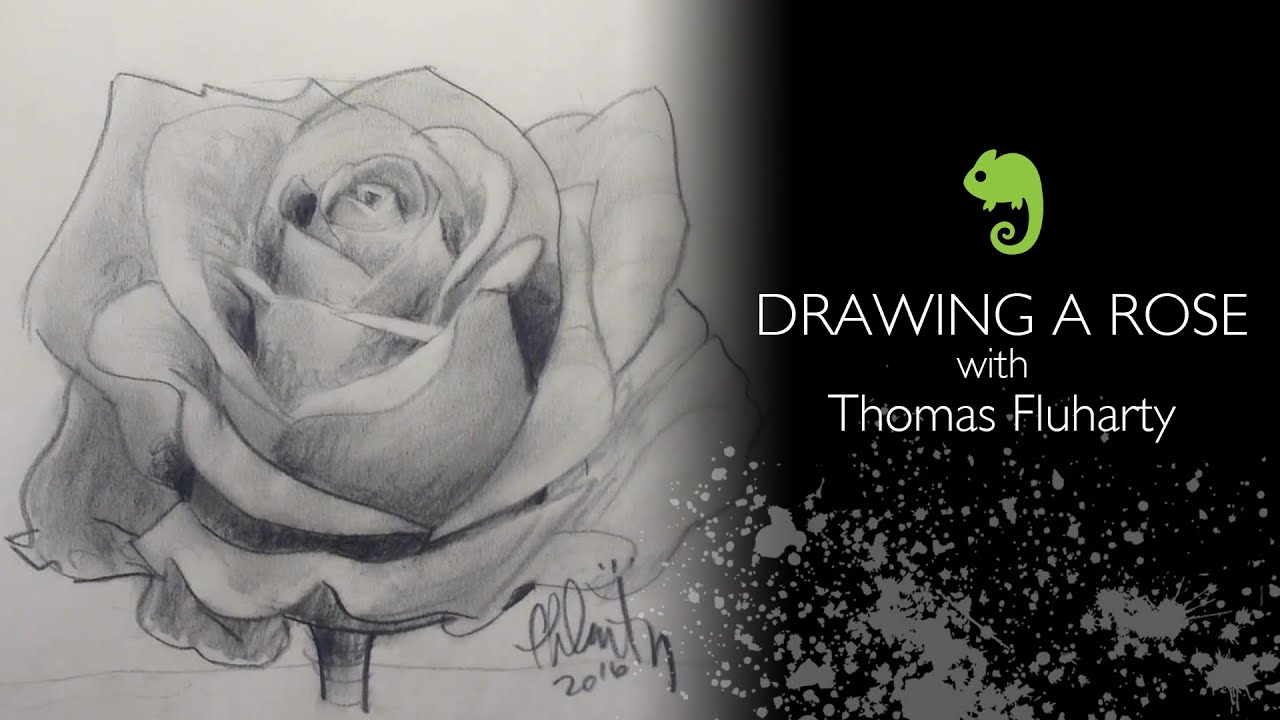 How to draw a rose - YouTube