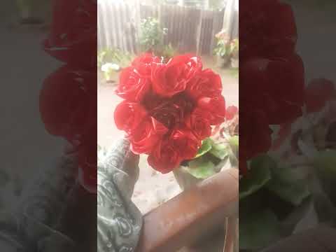 onedaa epada onemada