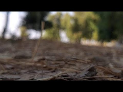 BENJAXZ FT. BAZZI - MINE ( KIZOMBA REMAKE ) 2K19