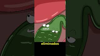 Por Que Dói Tanto? A Verdade Brutal Sobre Pedras no Rim #Saude #CorpoHumano #Curiosidades