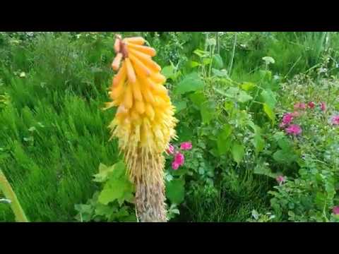 1 MA VILLE DE FRANCONVILLE