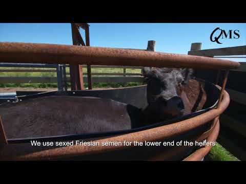 Insight into AgriScot Scotch Beef Farm of the Year 2017