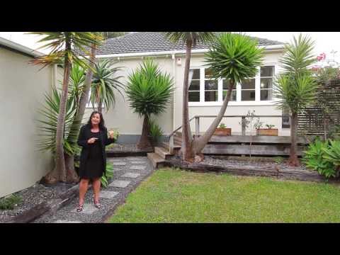 37 Duke Street, Three Kings - Ketiesha Elliott & Karen Captain - Myagent