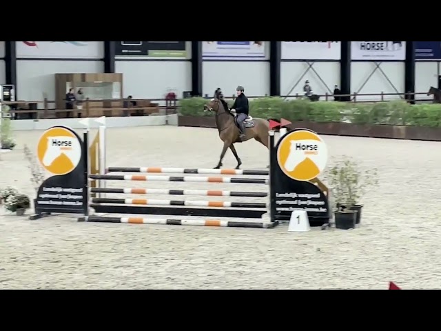 Hongre 13 ans CSO - A vendre - 7500 € !! jusqu'au 15/12