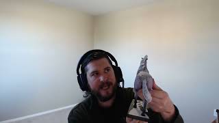 Storm Rider Pony Trail of Painted Ponies