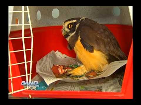 Band Cidade Campinas 14 08 2012 - bloco 01