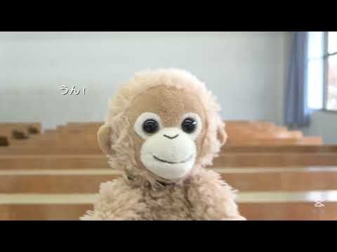 総合文化学科 きーちゃんの大冒険