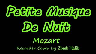 Petite Musique De Nuit-Recorder Cover | Mozart