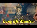 Long Life Mantra Amitayus Buddha Mantra ཚེ དཔག མེད Buddha Amitabha अमिता�