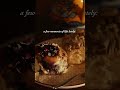 Cattok Casualmagic Selfcare VeganRecipe