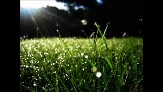 Download lagu Sedekah, XPDC - maksud disebalik lagu mp3