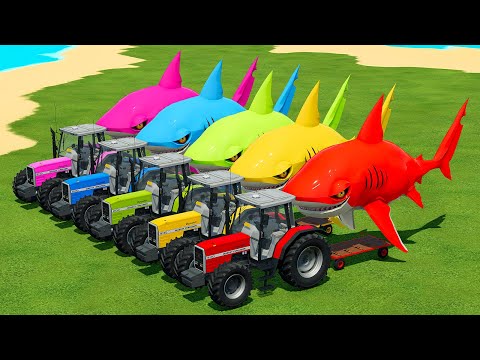 LOAD AND TRANSPORT GIANT SHARKS WITH MASSEY FERGUSON TRACTORS - Farming Simulator 22