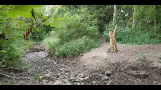 von Kleinpösna nach Probstheida 14 Juni 2022