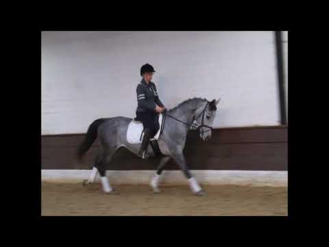 CALLAHAN 4j. v. Comic - San Bernadino VB 13.000,- Euro