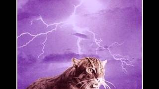 i could drive forever - SMOG