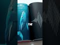 The Heartbeat of a Blue Whale: Nature's Deepest Echoes 🌊🐋