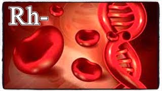 The Rhesus Factor DECEPTION ( Rh- )  RH Negative Blood Type (FULL VERSION)