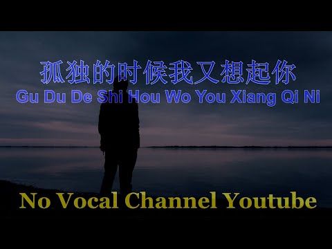 Gu Du De Shi Hou Wo You Xiang Qi Ni ( 孤独的时候我又想起你 ) Male Karaoke Mandarin - No Vocal