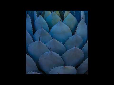 Baker Ya Maker x Butcha Mane - Malignant Spirits (Evan tha Villain Remix)