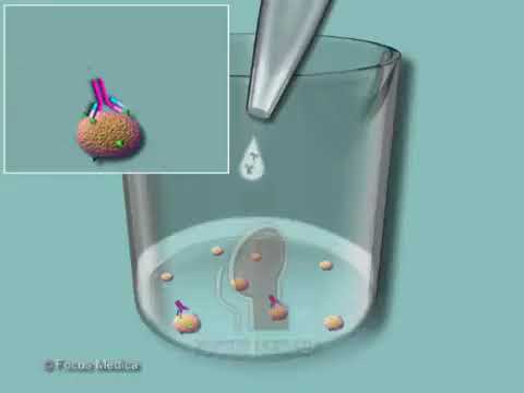 ELISA  - Enzyme linked immunosorbent assay