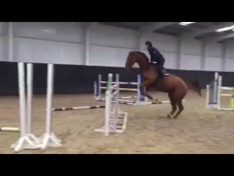 BLM DU Rouets Irish Envoy