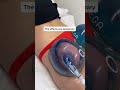 Booty Vacuum