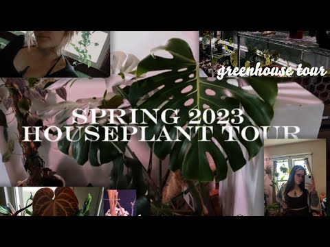 150+ Houseplant Tour!!- Spring 2023 (Including Greenhouse🌱)