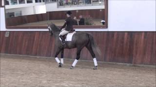 Video of Diva