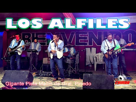 Los Alfiles en vivo en la Gigante Pista Mailin de Pinedo 14 03 21