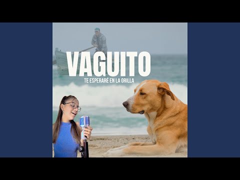 Vaguito