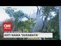Arti Nama 'Surabaya' Arti Nama 'Surabaya'