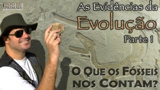 As Evidências da Evolução [1] - O que os fósseis nos contam?