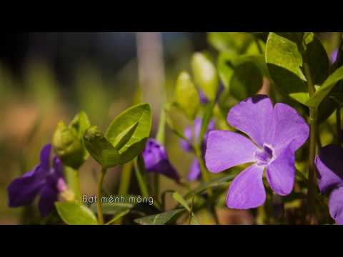 Mưa tháng tám Sheet - Tâm Thư