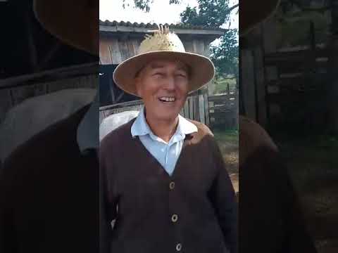 Produção de Melado em Mormaço