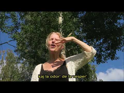 Kajto - La Universala Arbo - oficiala muzik-klipo