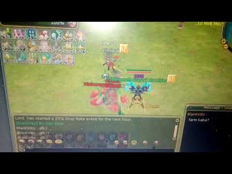 afk farming flyff insanity