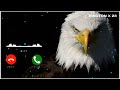 Eagle Ringtone Rington Rington X 23