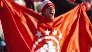 CRÔNICA LUIZ FERNANDO VERÍSSIMO - Não Me Acorde